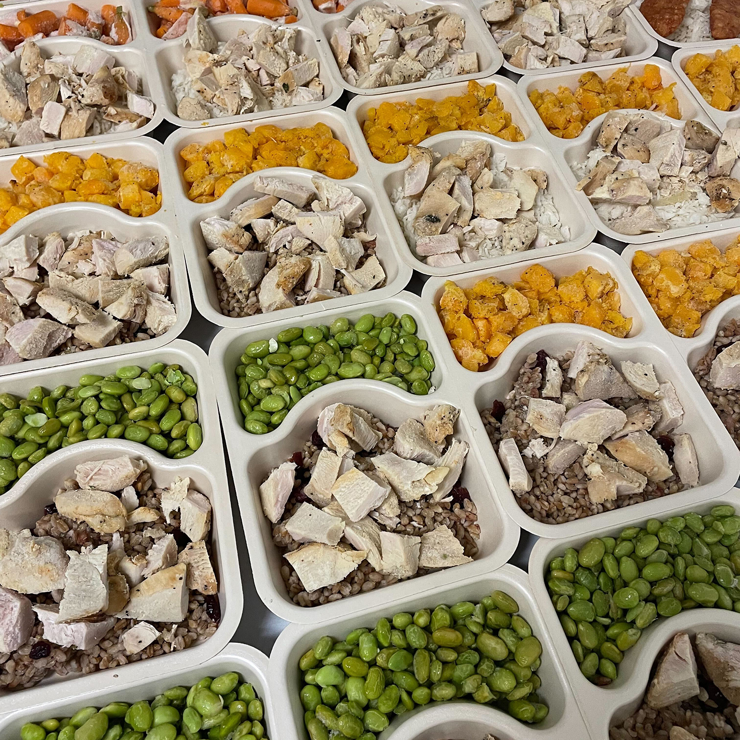 Partner Spotlight: Food For Free