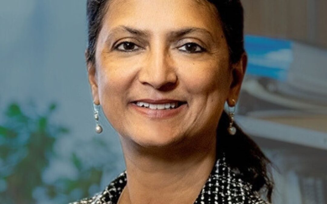 New Board Members Elected