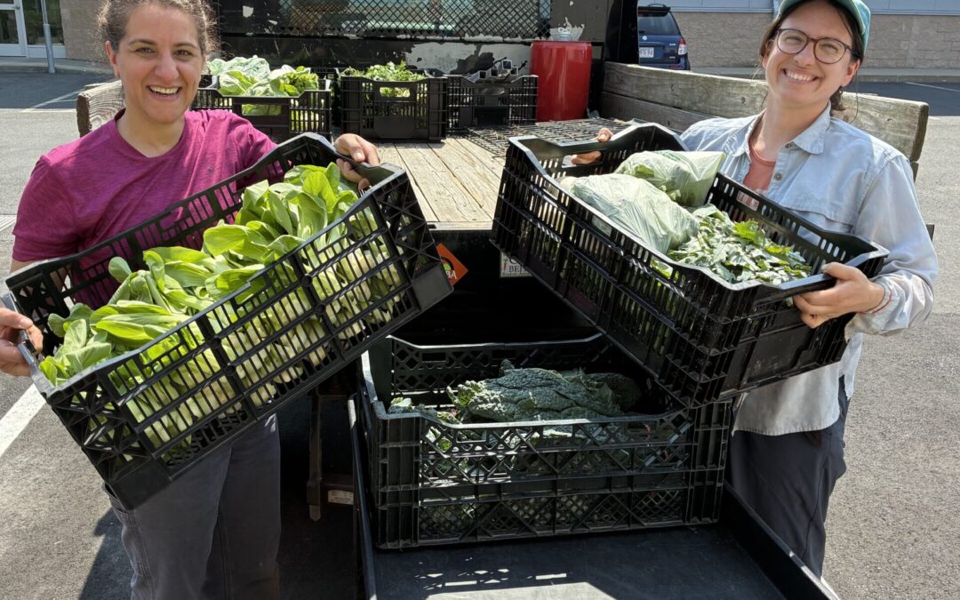 Partner Spotlight: Newton Community Farm